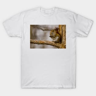 Red Squirrel T-Shirt